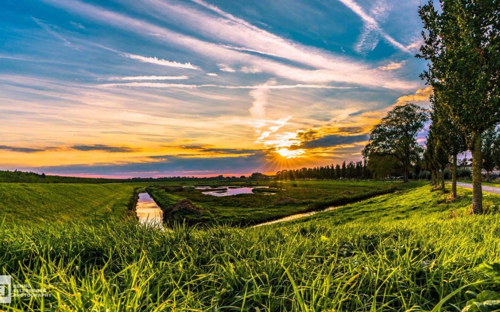 LandjevanNaber_benno